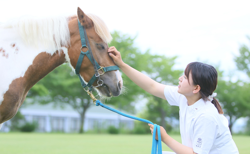 ホースセラピー馬と生徒