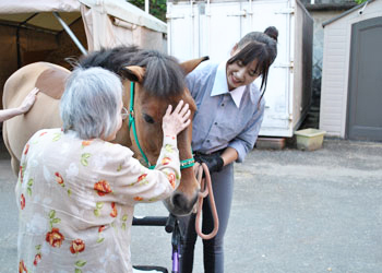 リハビリテーションにおける動物 馬 介在療法について 阪奈中央リハビリテーション専門学校