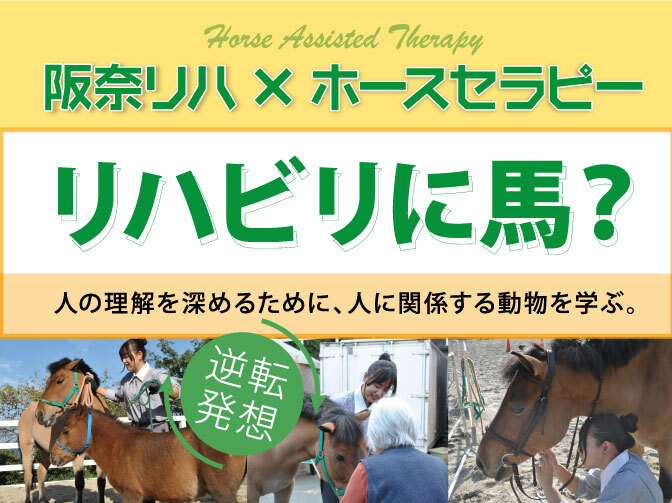 馬介在療法について 阪奈中央リハビリテーション専門学校